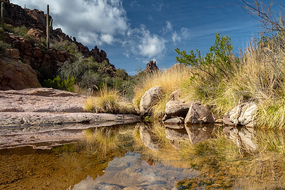 Arizona 2019
