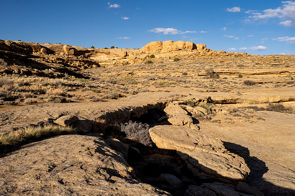 New Mexico 2025