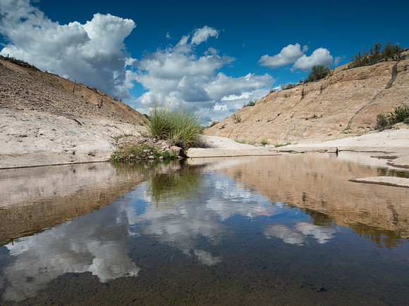 Arizona 2018