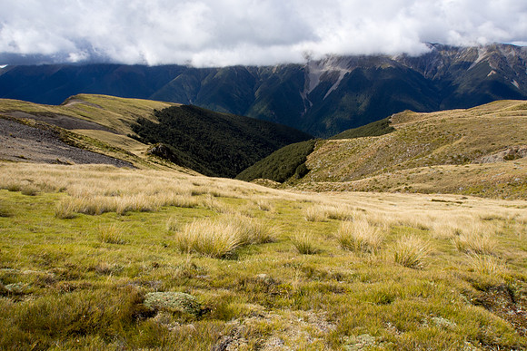 New Zealand 2013