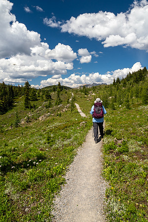 Banff National Park 2025