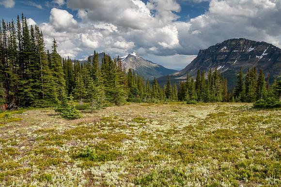 Banff National Park 2025