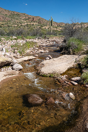 Arizona 2020