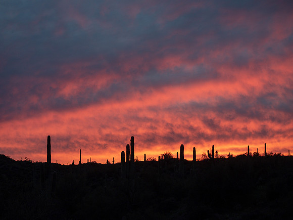 Arizona 2019