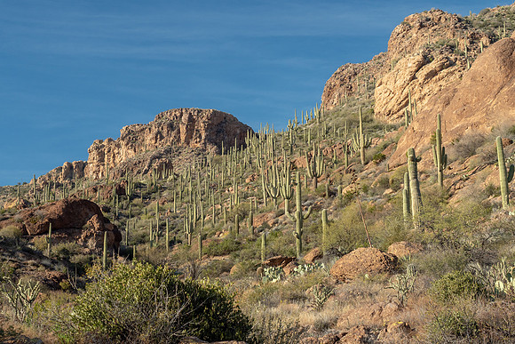 Arizona 2019