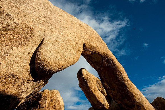 Joshua Tree National Park
