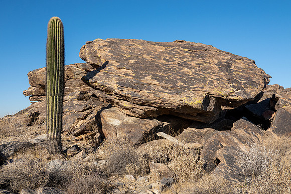 Arizona 2019