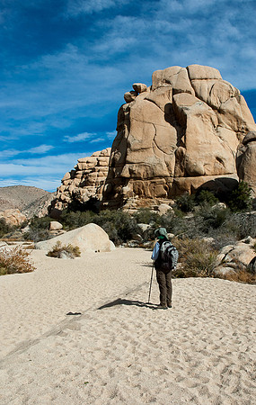 Joshua Tree National Park