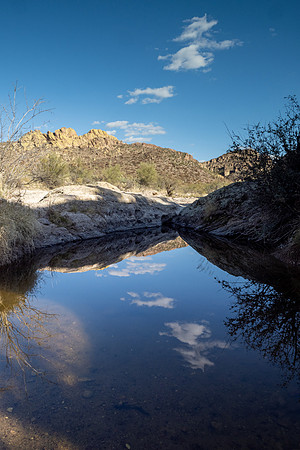 Arizona 2021