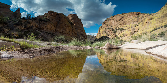 Arizona 2018
