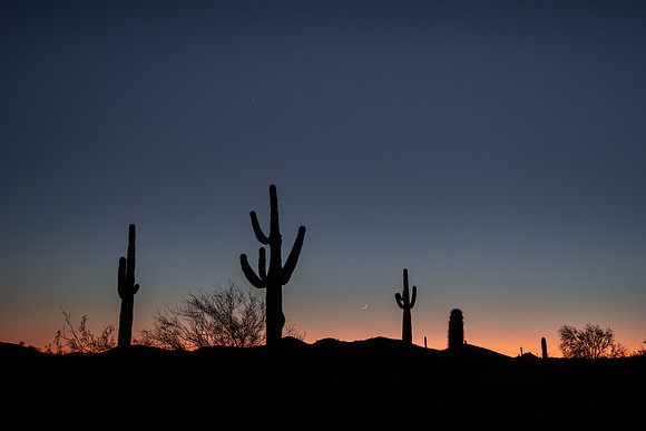 Arizona 2020
