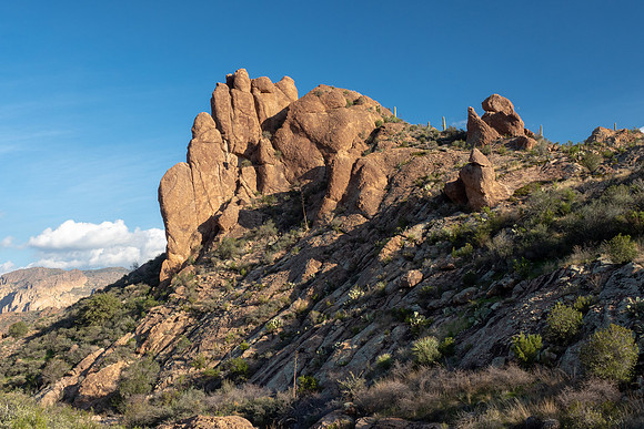 Arizona 2019