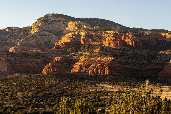 Arizona 2021