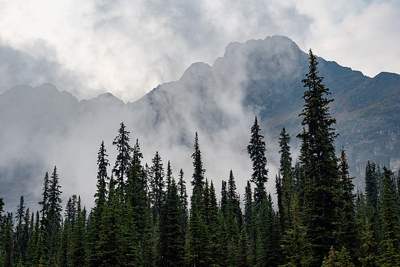 Lake O'Hara 2025