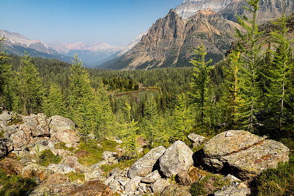 Lake O'Hara 2025