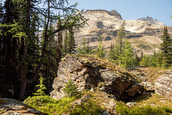 Lake O'Hara 2025