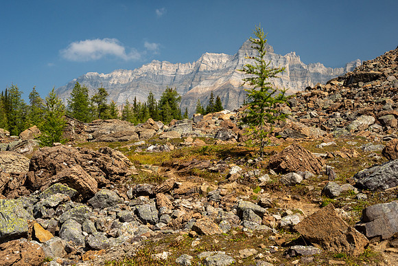 Lake O'Hara 2025