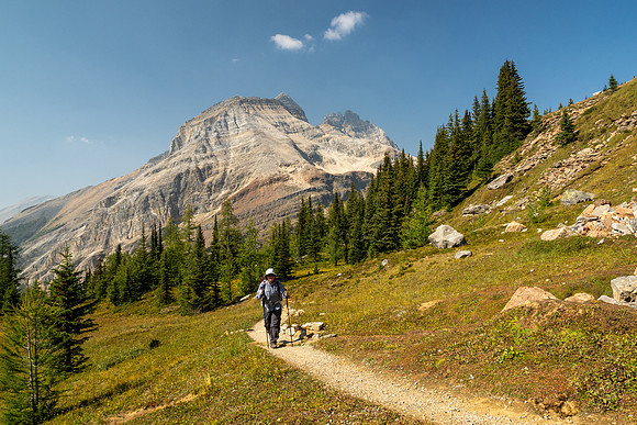 Lake O'Hara 2025