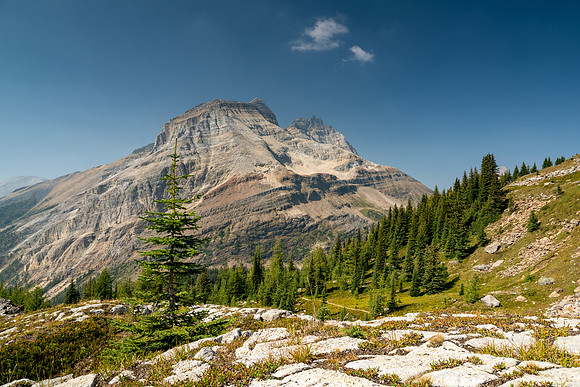 Lake O'Hara 2025