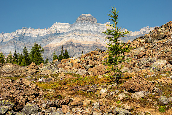 Lake O'Hara 2025