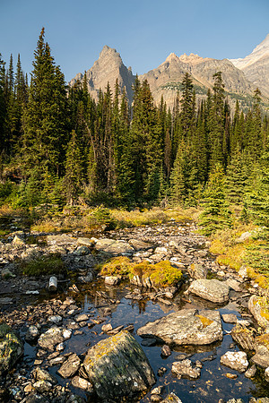 Lake O'Hara 2025