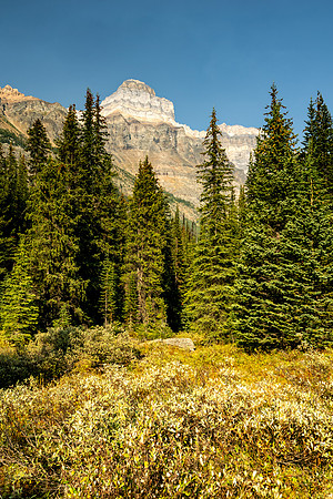Lake O'Hara 2025