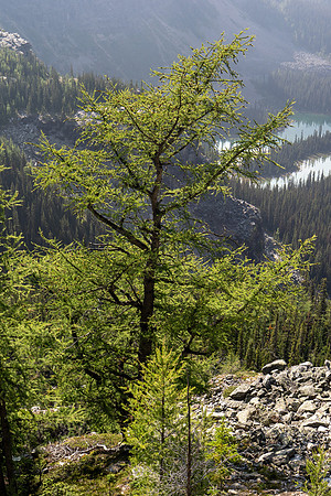 Lake O'Hara 2025