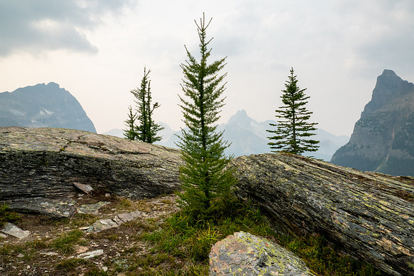 Lake O'Hara 2025
