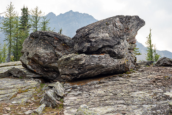 Lake O'Hara 2025