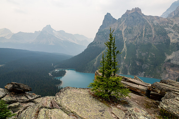 Lake O'Hara 2025