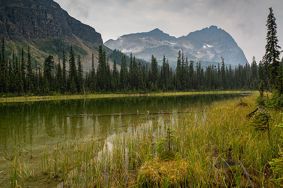 Lake O'Hara 2025