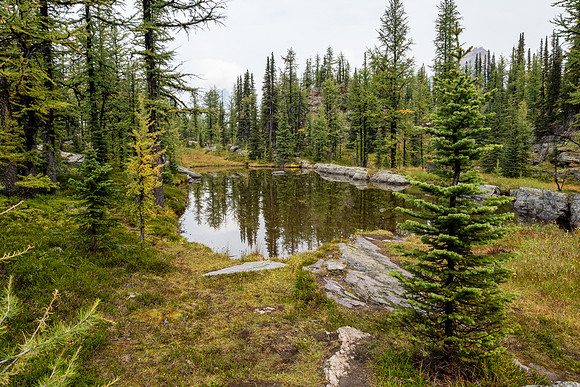 Lake O'Hara 2025