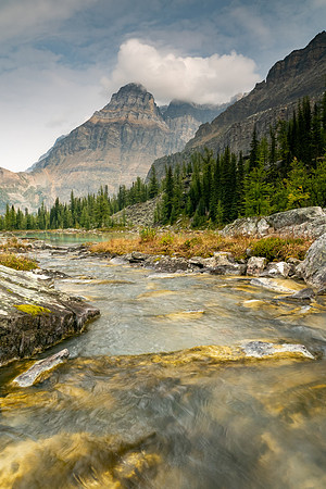 Lake O'Hara 2025