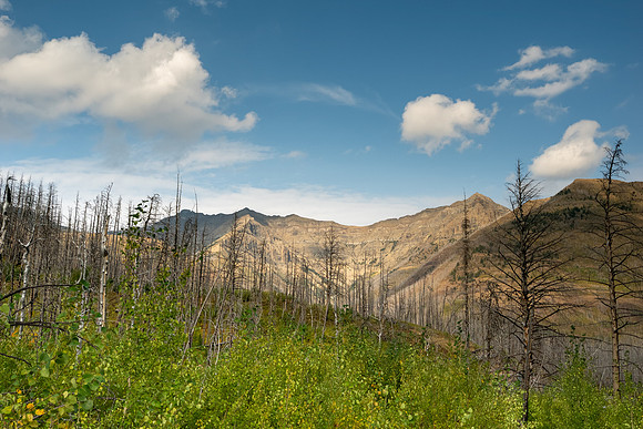 Waterton Glacier National Park
