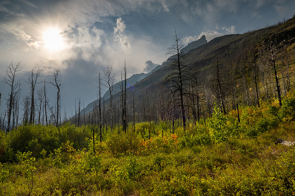 Waterton Glacier National Park
