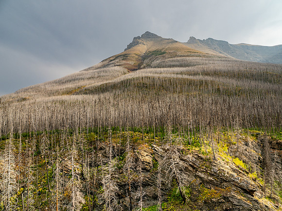 Waterton Glacier National Park