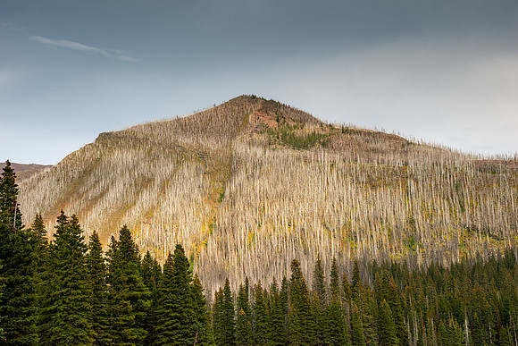 Waterton Lakes National Park