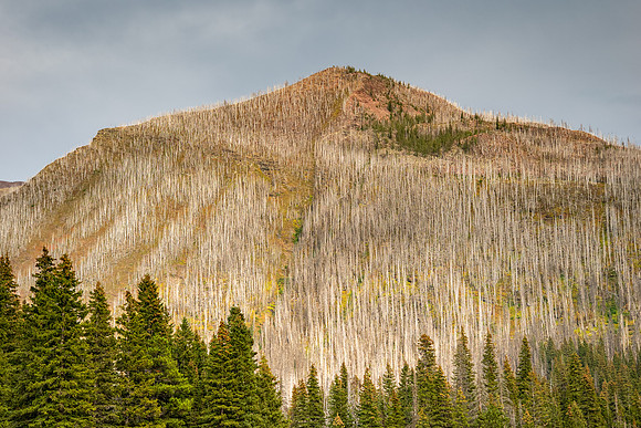 Waterton Lakes National Park