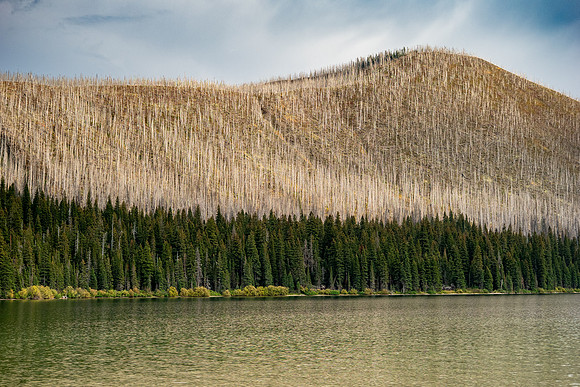 Waterton Lakes National Park