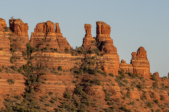 Arizona 2021