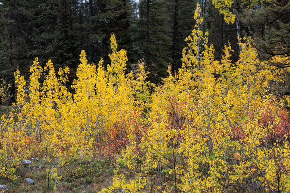 Grand Tetons National Park