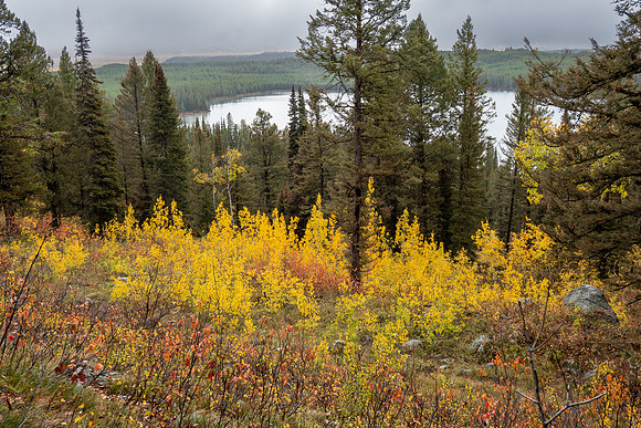 Grand Tetons National Park