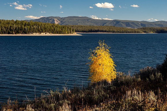 Grand Tetons National Park