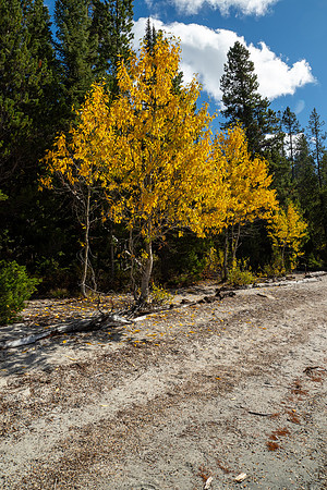 Grand Tetons National Park