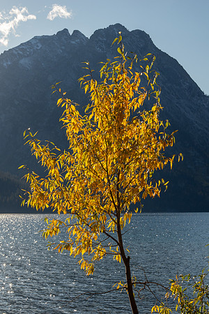 Grand Tetons National Park