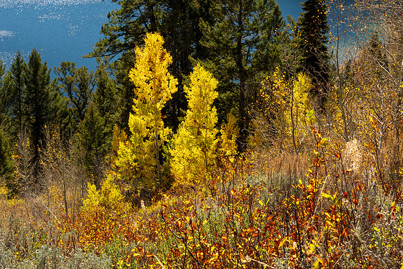 Grand Tetons National Park