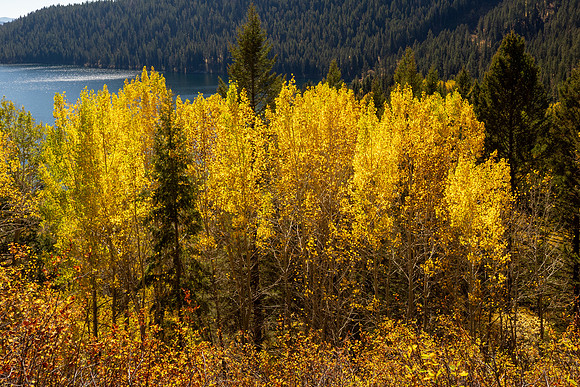 Grand Tetons National Park