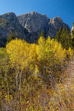 Grand Tetons National Park