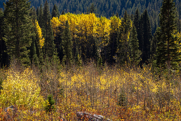 Grand Tetons National Park