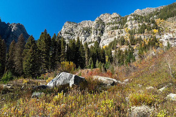 Grand Tetons National Park